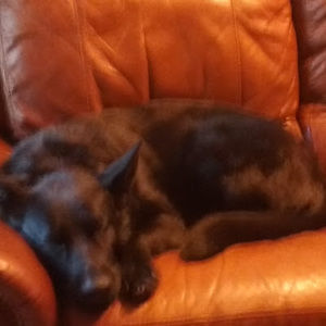 Meet your Posher, Jayce